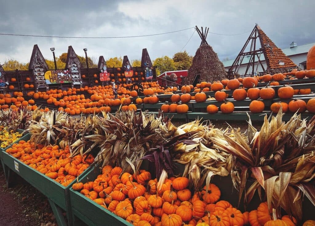 Fall Festival at The Great Pumpkin Farm