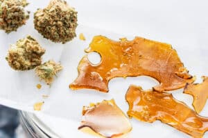 Concentrated THC/CBD extract (aka shatter/wax) on non stick paper with trimmed marijuana buds. An alternative method of smoking cannabinoids extracted from cannabis plant, for medical & recreational use in legal states/countries.