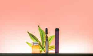 HHC distillate Vapes Hexahydrocannabinol is a psychoactive half synthetic cannabinoid that is not regulated